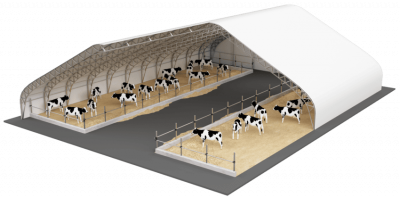 Cobertizos para vacas
